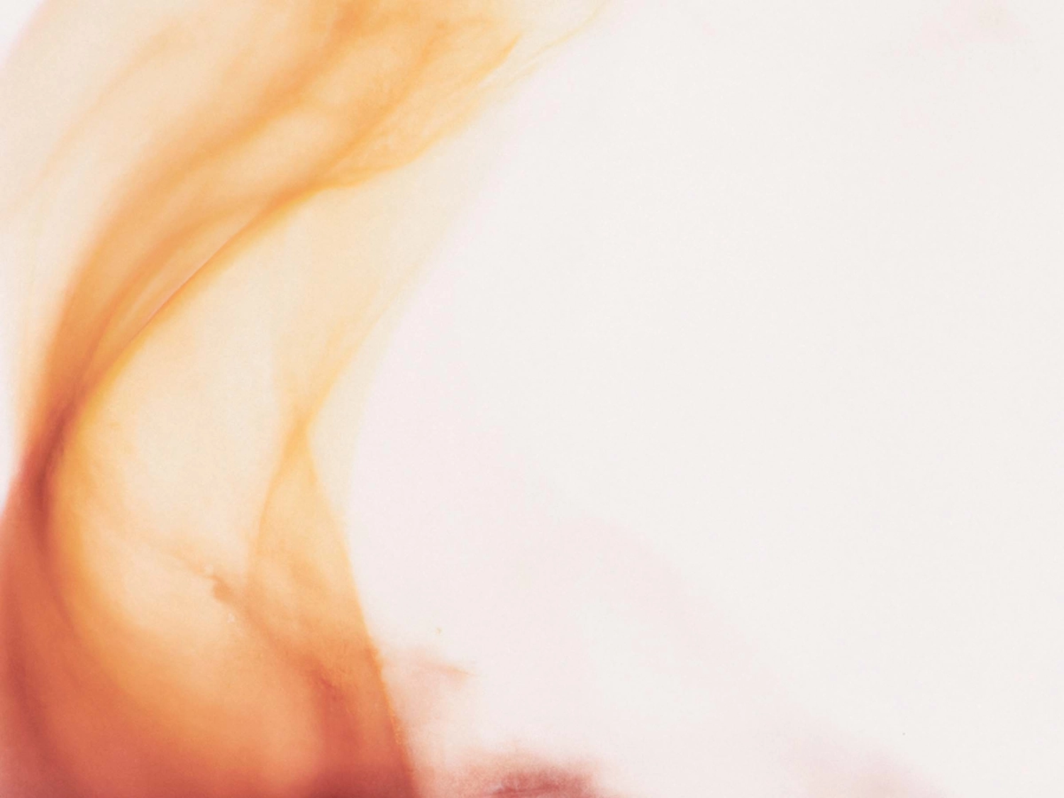 Image from the Speculum In Fine Mundi project by Sam Green