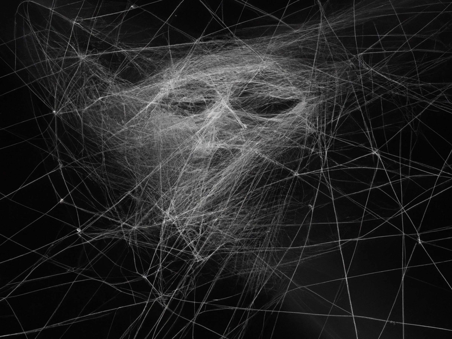 Image from the Speculum In Fine Mundi project by Sam Green