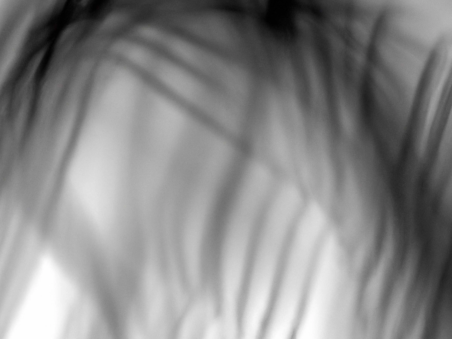Image from the Speculum In Fine Mundi project by Sam Green