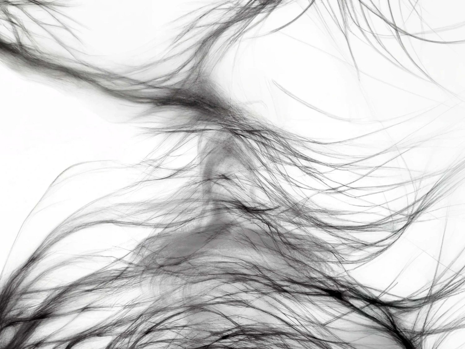 Image from the Speculum In Fine Mundi project by Sam Green