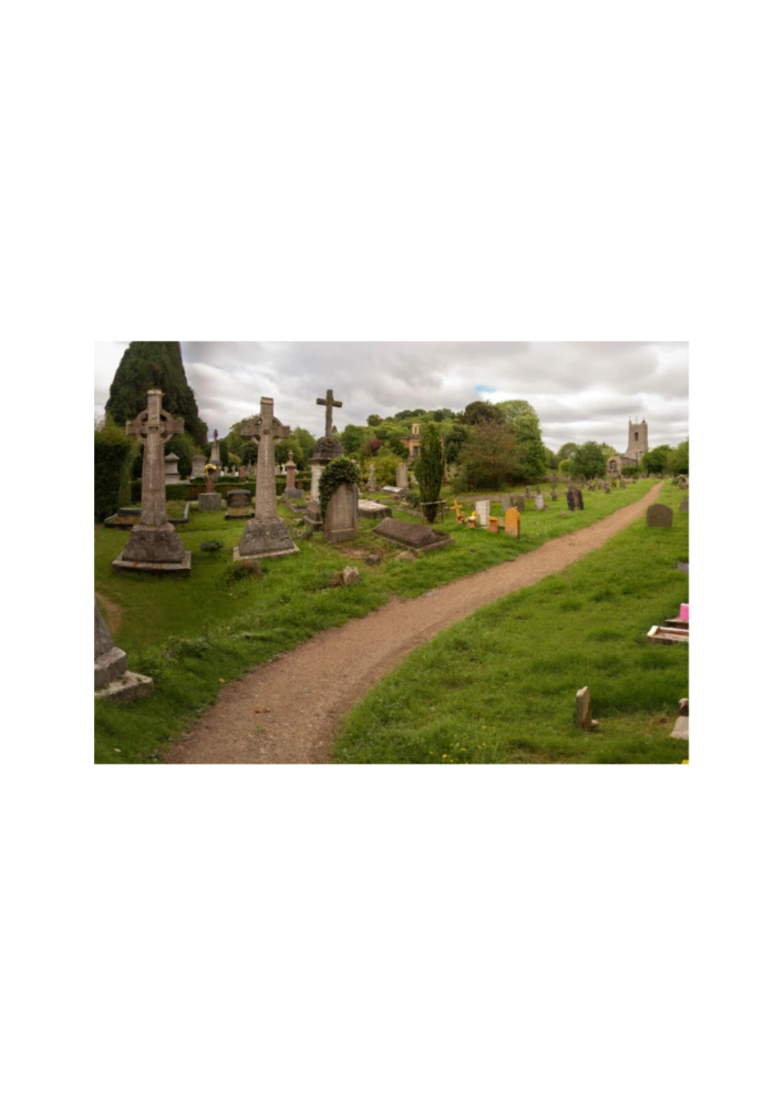 Image from the Verisimilitude project by Sam Green