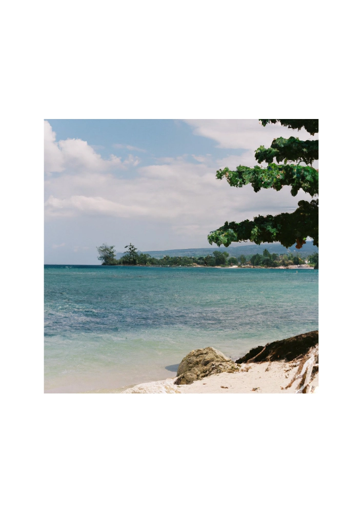Image from the Verisimilitude project by Sam Green